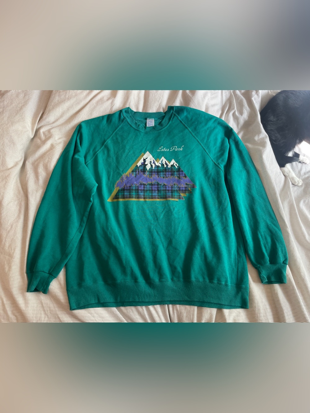 Retro Mountain Sweatshirt